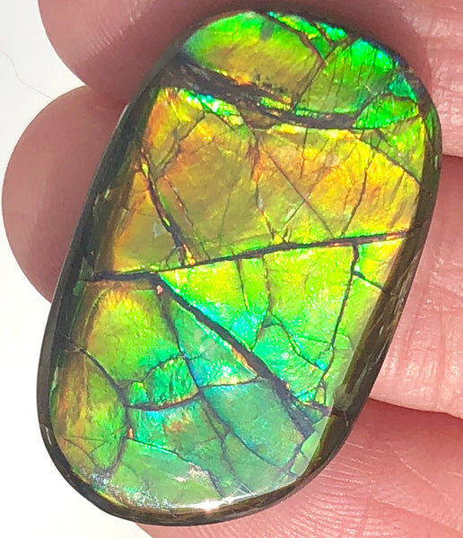 28x17mm    Natural  Free Form . FFN359  Ammolite  ナチュラル　ルース　アンモライト フリーフォーム