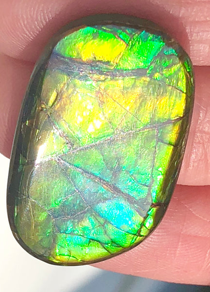 28x17mm    Natural  Free Form . FFN359  Ammolite  ナチュラル　ルース　アンモライト フリーフォーム