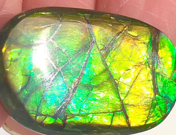 28x17mm    Natural  Free Form . FFN359  Ammolite  ナチュラル　ルース　アンモライト フリーフォーム