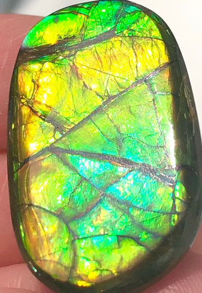28x17mm    Natural  Free Form . FFN359  Ammolite  ナチュラル　ルース　アンモライト フリーフォーム