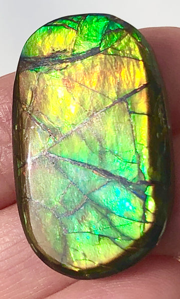 28x17mm    Natural  Free Form . FFN359  Ammolite  ナチュラル　ルース　アンモライト フリーフォーム