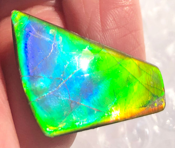 31 x 17  mm  - IMP-60 Natural Ammolite Double-Sided Imperial!　両面　レインボー！レアルース　アンモライト