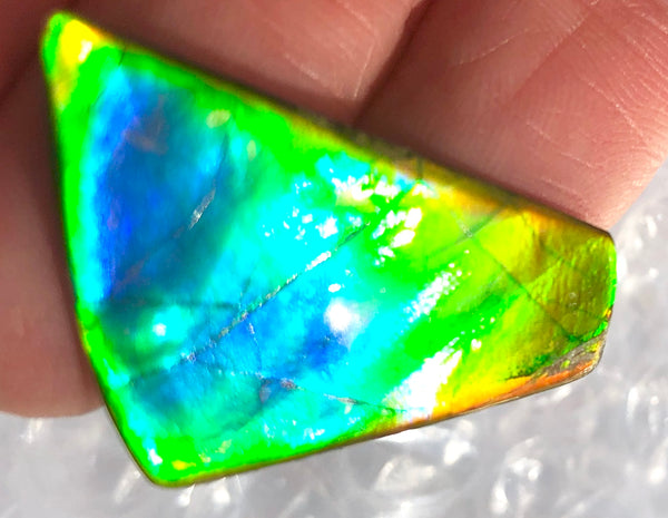 31 x 17  mm  - IMP-60 Natural Ammolite Double-Sided Imperial!　両面　レインボー！レアルース　アンモライト