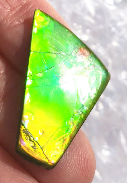31 x 17  mm  - IMP-60 Natural Ammolite Double-Sided Imperial!　両面　レインボー！レアルース　アンモライト