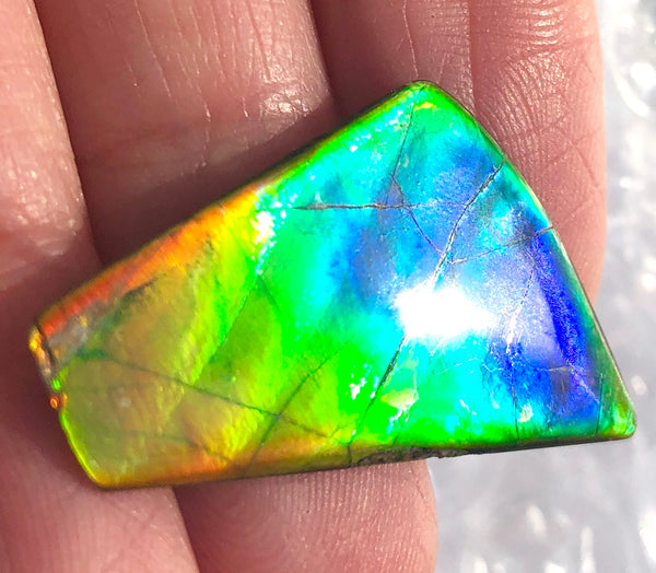 31 x 17  mm  - IMP-60 Natural Ammolite Double-Sided Imperial!　両面　レインボー！レアルース　アンモライト