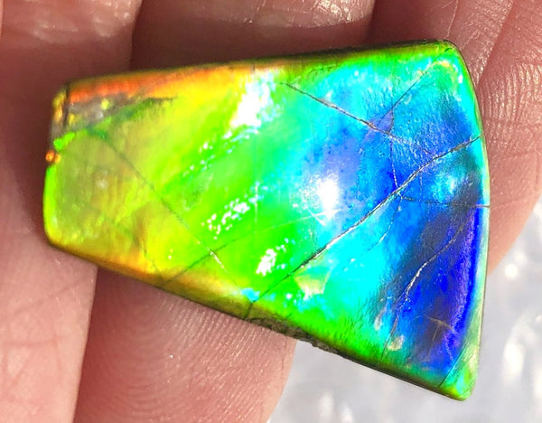31 x 17  mm  - IMP-60 Natural Ammolite Double-Sided Imperial!　両面　レインボー！レアルース　アンモライト