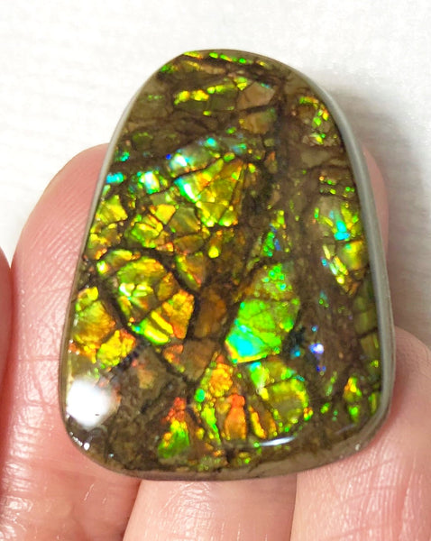 27x 2Ⅰ  mm Coated Free Form Dragonskin - FFC92   - アンモライト　ルース　