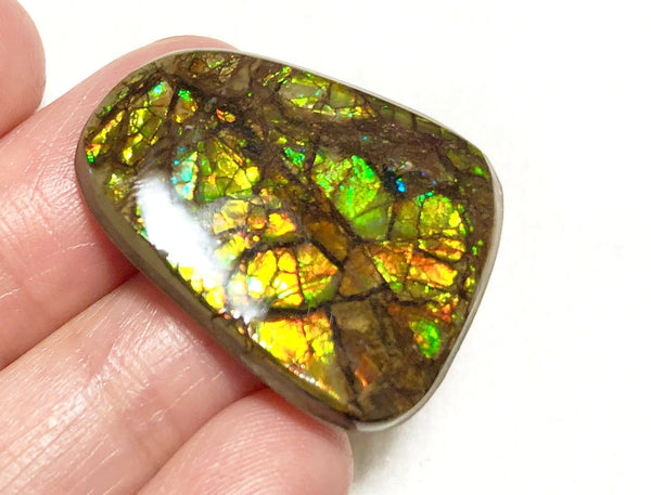 27x 2Ⅰ  mm Coated Free Form Dragonskin - FFC92   - アンモライト　ルース　