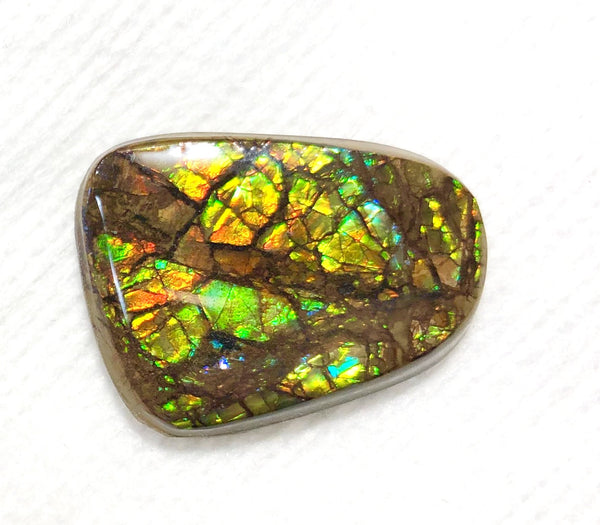 27x 2Ⅰ  mm Coated Free Form Dragonskin - FFC92   - アンモライト　ルース　