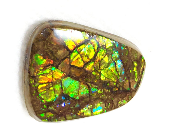 27x 2Ⅰ  mm Coated Free Form Dragonskin - FFC92   - アンモライト　ルース　