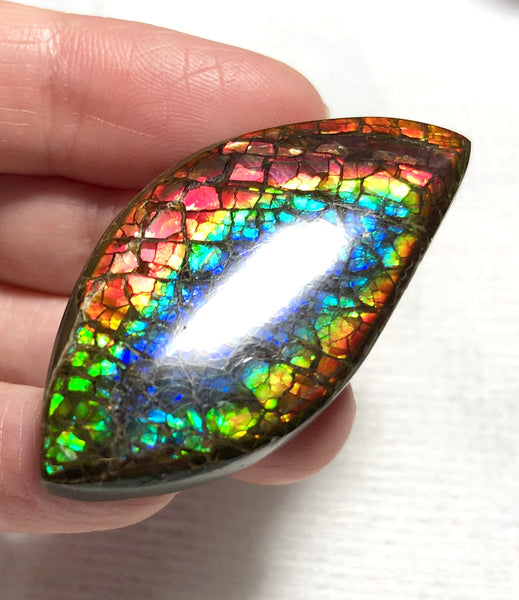 46 x 23 mm  Natural  Free Form . FFNT 121 Ammolite  ナチュラル　ルース　アンモライト フリーフォーム