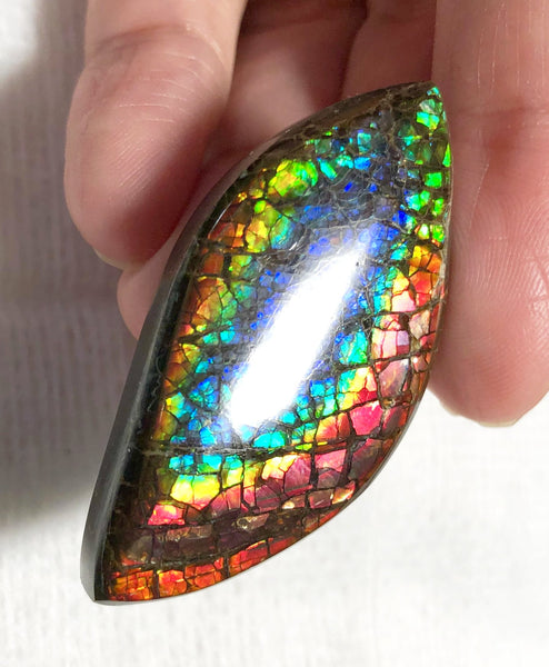 46 x 23 mm  Natural  Free Form . FFNT 121 Ammolite  ナチュラル　ルース　アンモライト フリーフォーム