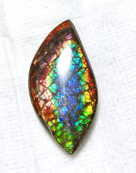 46 x 23 mm  Natural  Free Form . FFNT 121 Ammolite  ナチュラル　ルース　アンモライト フリーフォーム