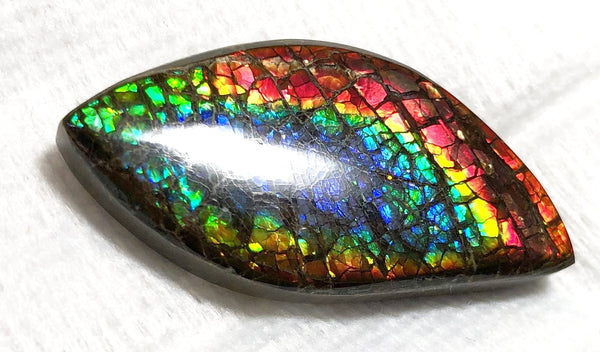 46 x 23 mm  Natural  Free Form . FFNT 121 Ammolite  ナチュラル　ルース　アンモライト フリーフォーム