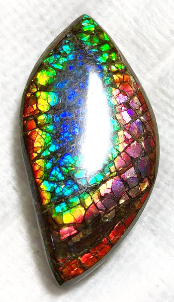 46 x 23 mm  Natural  Free Form . FFNT 121 Ammolite  ナチュラル　ルース　アンモライト フリーフォーム