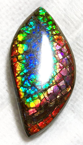 46 x 23 mm  Natural  Free Form . FFNT 121 Ammolite  ナチュラル　ルース　アンモライト フリーフォーム