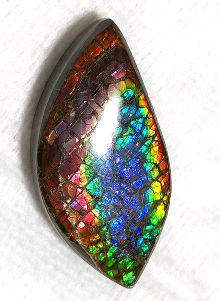 46 x 23 mm  Natural  Free Form . FFNT 121 Ammolite  ナチュラル　ルース　アンモライト フリーフォーム