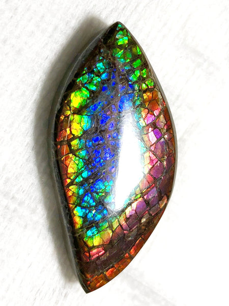 46 x 23 mm  Natural  Free Form . FFNT 121 Ammolite  ナチュラル　ルース　アンモライト フリーフォーム