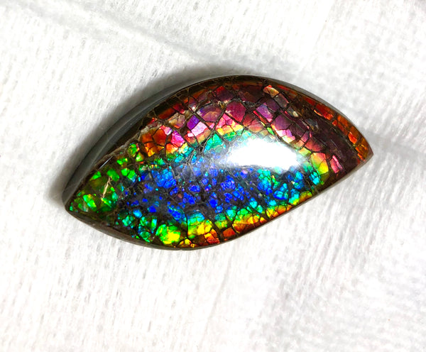 46 x 23 mm  Natural  Free Form . FFNT 121 Ammolite  ナチュラル　ルース　アンモライト フリーフォーム