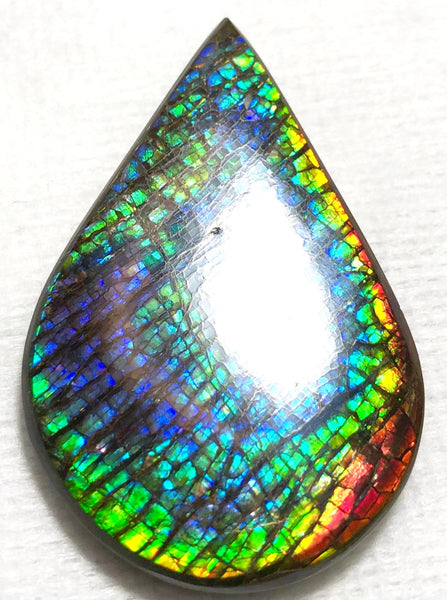 58 x 38 mm  Natural  Free Form . FFNT 120 Ammolite  ナチュラル　ルース　アンモライト フリーフォーム
