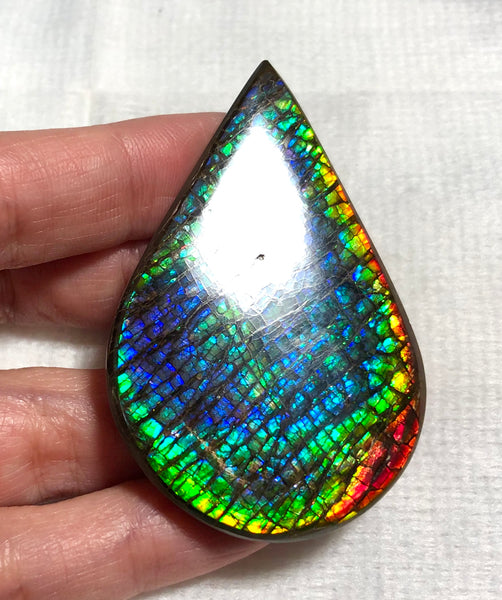 58 x 38 mm  Natural  Free Form . FFNT 120 Ammolite  ナチュラル　ルース　アンモライト フリーフォーム