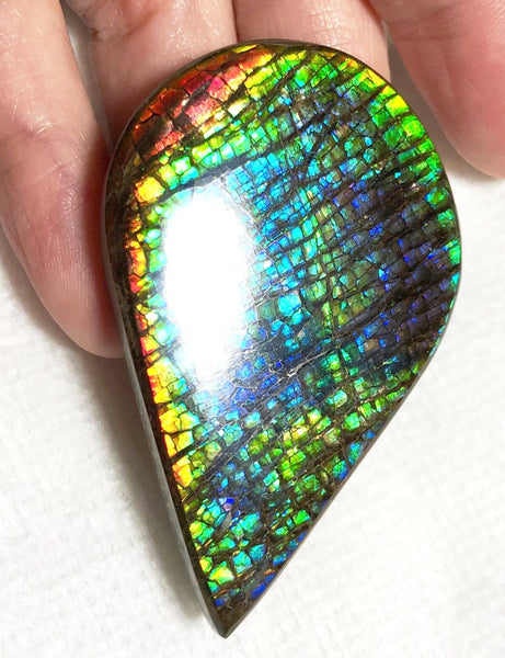 58 x 38 mm  Natural  Free Form . FFNT 120 Ammolite  ナチュラル　ルース　アンモライト フリーフォーム