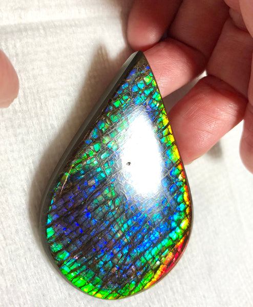 58 x 38 mm  Natural  Free Form . FFNT 120 Ammolite  ナチュラル　ルース　アンモライト フリーフォーム