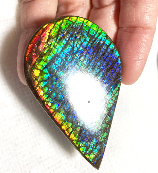 58 x 38 mm  Natural  Free Form . FFNT 120 Ammolite  ナチュラル　ルース　アンモライト フリーフォーム