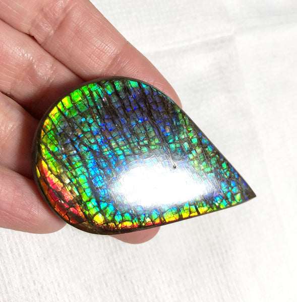 58 x 38 mm  Natural  Free Form . FFNT 120 Ammolite  ナチュラル　ルース　アンモライト フリーフォーム