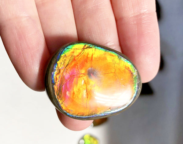 33 x 24x 5 mm  Natural  Free Form . FFNT 122 Super bright with a nipplite! Ammolite  ナチュラル　ルース　アンモライト フリーフォーム