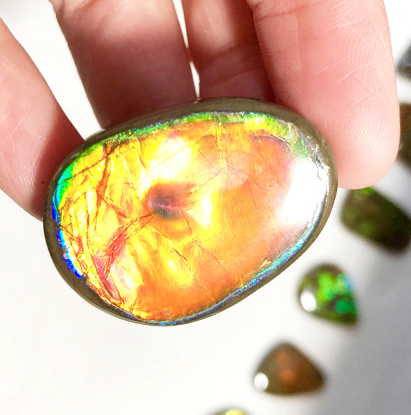33 x 24x 5 mm  Natural  Free Form . FFNT 122 Super bright with a nipplite! Ammolite  ナチュラル　ルース　アンモライト フリーフォーム
