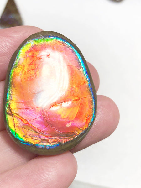 33 x 24x 5 mm  Natural  Free Form . FFNT 122 Super bright with a nipplite! Ammolite  ナチュラル　ルース　アンモライト フリーフォーム