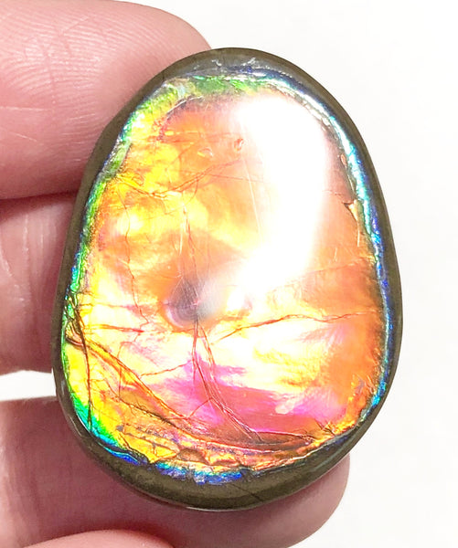 33 x 24x 5 mm  Natural  Free Form . FFNT 122 Super bright with a nipplite! Ammolite  ナチュラル　ルース　アンモライト フリーフォーム
