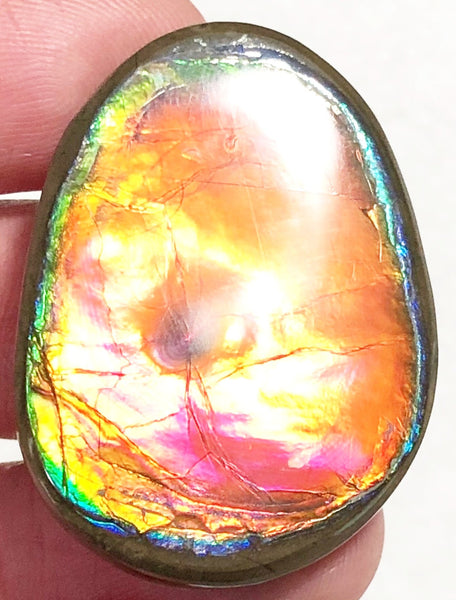 33 x 24x 5 mm  Natural  Free Form . FFNT 122 Super bright with a nipplite! Ammolite  ナチュラル　ルース　アンモライト フリーフォーム