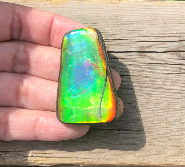 42 x 28  mm  - IMP-71 RARE  Natural Ammolite Double-Sided Rainbow Beauty! 両面！ナチュラル レアルース アンモライト