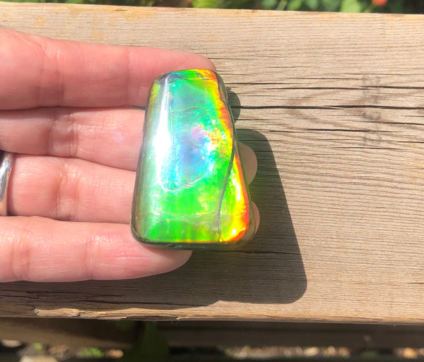 42 x 28  mm  - IMP-71 RARE  Natural Ammolite Double-Sided Rainbow Beauty! 両面！ナチュラル レアルース アンモライト