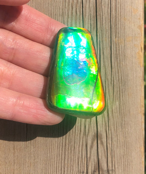 42 x 28  mm  - IMP-71 RARE  Natural Ammolite Double-Sided Rainbow Beauty! 両面！ナチュラル レアルース アンモライト