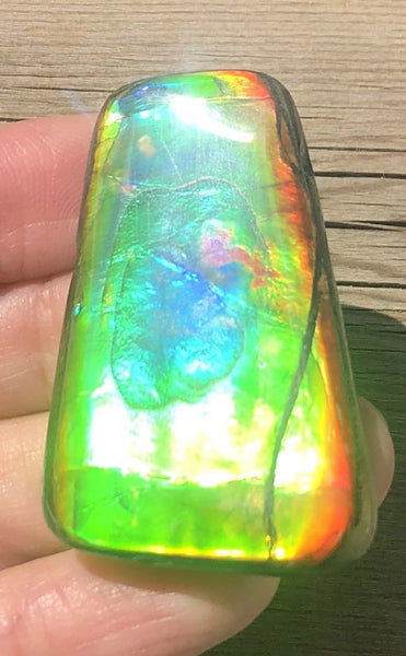42 x 28  mm  - IMP-71 RARE  Natural Ammolite Double-Sided Rainbow Beauty! 両面！ナチュラル レアルース アンモライト