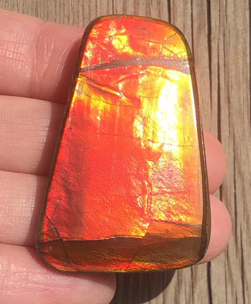 42 x 28  mm  - IMP-71 RARE  Natural Ammolite Double-Sided Rainbow Beauty! 両面！ナチュラル レアルース アンモライト