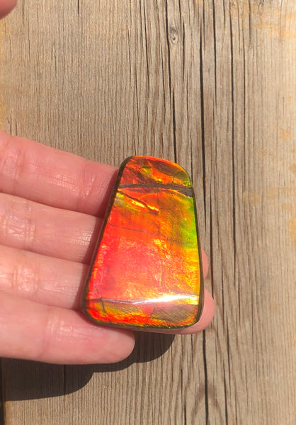 42 x 28  mm  - IMP-71 RARE  Natural Ammolite Double-Sided Rainbow Beauty! 両面！ナチュラル レアルース アンモライト