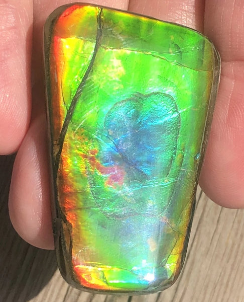 42 x 28  mm  - IMP-71 RARE  Natural Ammolite Double-Sided Rainbow Beauty! 両面！ナチュラル レアルース アンモライト