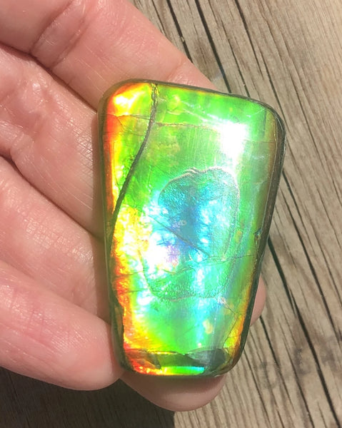 42 x 28  mm  - IMP-71 RARE  Natural Ammolite Double-Sided Rainbow Beauty! 両面！ナチュラル レアルース アンモライト