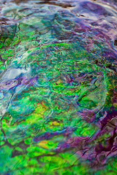 Huge Ammonite Fossil - Costatum Double sided 55 cm x 45 cm　アンモナイト化石　コスタータム　両面　アンモライト完全体