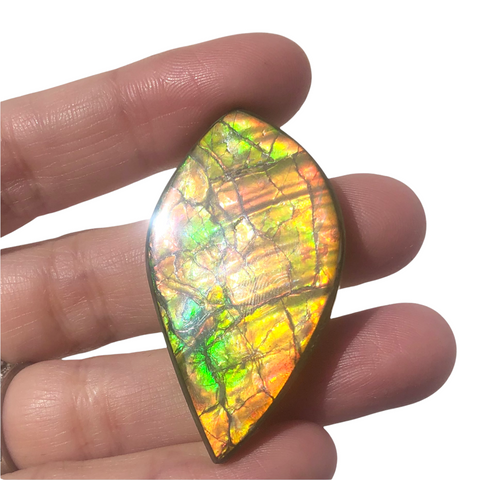 RESERVED for C.  Lot  Ammolite  4 stones Loose Gem, BRIGHT Canadian Ammolite Ammonite.DIY jewelry, Wrapping pendant, Metaphysical FFCL-008