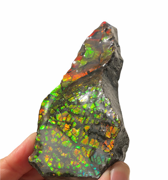 RESERVED for C*** 4.3" Ammolite Display Stone, Rough Hand Specimen, Bright Red 110mm Gemstone, Fengshui, Metaphysical, Home Décor
