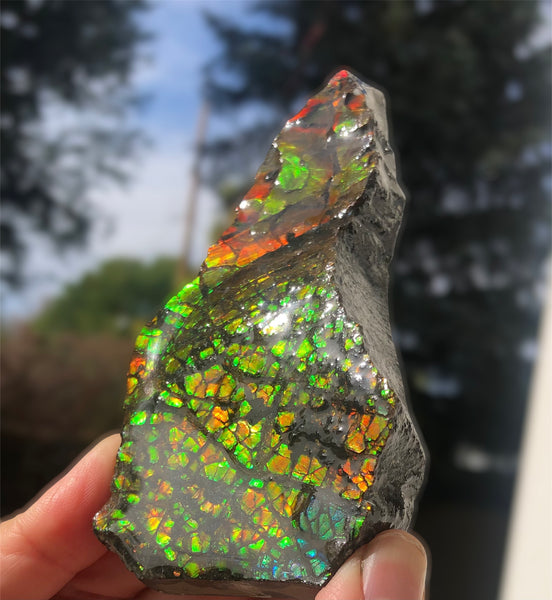 RESERVED for C*** 4.3" Ammolite Display Stone, Rough Hand Specimen, Bright Red 110mm Gemstone, Fengshui, Metaphysical, Home Décor