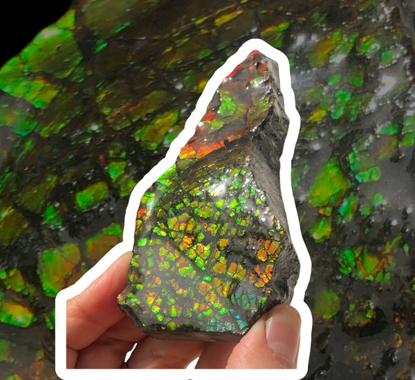 RESERVED for C*** 4.3" Ammolite Display Stone, Rough Hand Specimen, Bright Red 110mm Gemstone, Fengshui, Metaphysical, Home Décor
