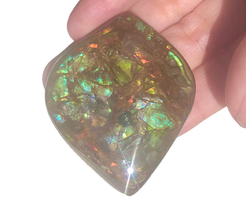 Copy of RESERVED for C.  Lot  Ammolite  3 stones Loose Gem,   Ammolite Ammonite.DIY jewelry, Wrapping pendant, Metaphysical