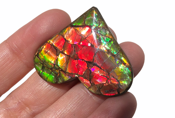 Heart shaped, Natural hand polished, Free Form . FFNT160 Ammolite