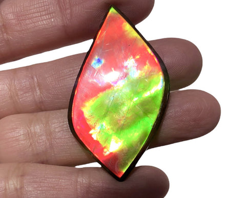 Natural hand polished, Free Form . FFNT161 Ammolite High Grade.